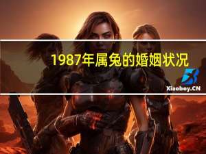 1987年属兔的婚姻状况