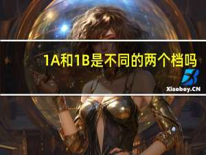 1A和1B是不同的两个档吗