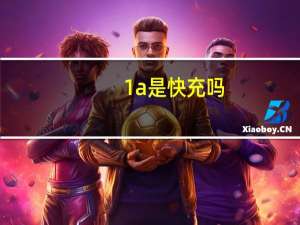 1a是快充吗