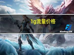 1g流量价格