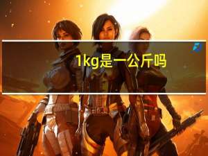1kg是一公斤吗