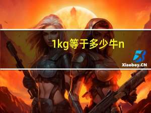1kg等于多少牛n