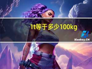 1t等于多少100kg