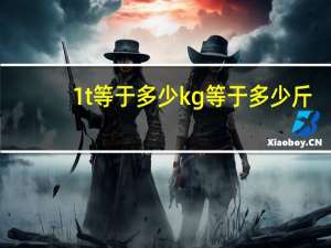 1t等于多少kg等于多少斤（1t等于多少kg）