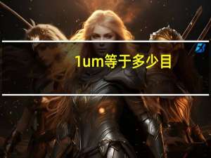 1um等于多少目