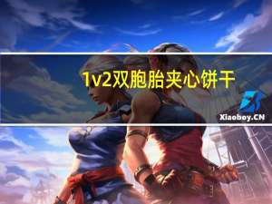 1v2双胞胎夹心饼干（高校生的玩物）