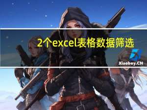 2个excel表格数据筛选（excel表格如何筛选数据）