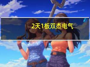2天1板双杰电气：关注到媒体对充电桩业务有较高关注度公司相关业务未发生重大变化