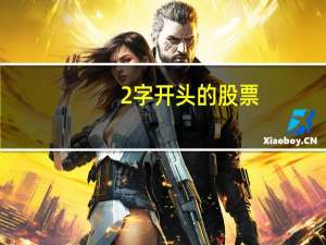 2字开头的股票
