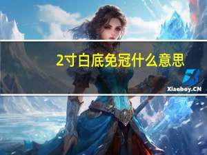 2寸白底免冠什么意思