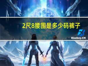 2尺8腰围是多少码裤子