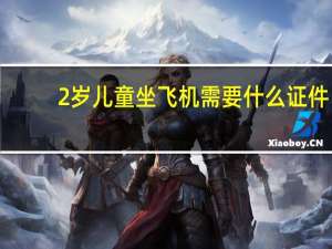 2岁儿童坐飞机需要什么证件（儿童坐飞机需要什么证件）