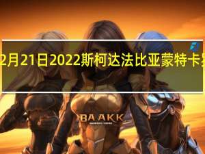 2月21日2022斯柯达法比亚蒙特卡罗来了