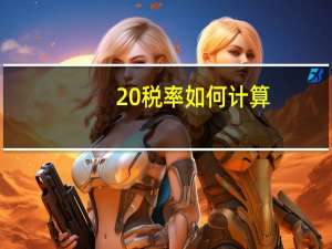 20%税率如何计算
