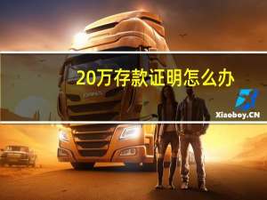 20万存款证明怎么办