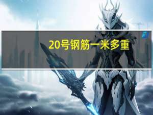 20号钢筋一米多重