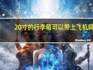 20寸的行李箱可以带上飞机吗