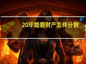 20年婚姻财产怎样分割