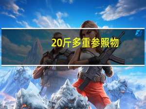 20斤多重参照物