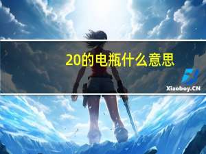 20的电瓶什么意思