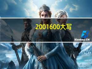 2001600大写（200160）