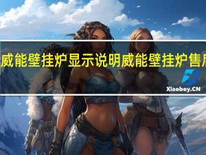2004年威能壁挂炉显示说明 威能壁挂炉售后电话24小时