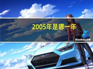 2005年是哪一年？