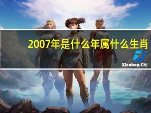 2007年是什么年属什么生肖（2007年是什么年）