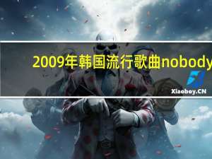2009年韩国流行歌曲nobody（2009年韩国流行歌曲）