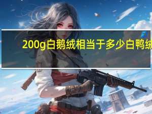 200g白鹅绒相当于多少白鸭绒