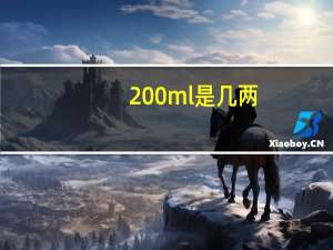 200ml是几两