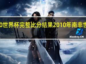 2010世界杯完整比分结果 2010年南非世界杯冠军