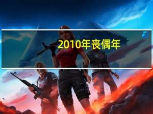 2010年丧偶年