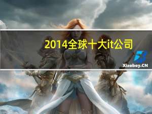 2014全球十大it公司