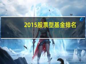 2015股票型基金排名