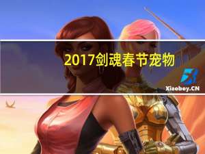 2017剑魂春节宠物