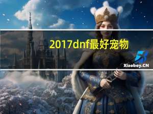 2017dnf最好宠物