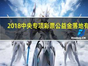 2018中央专项彩票公益金落地有声