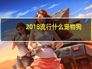 2018流行什么宠物狗