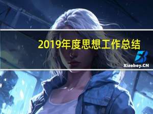 2019年度思想工作总结（2019年度思想工作总结个人）