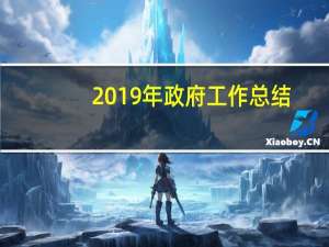 2019年政府工作总结（政府工作总结）