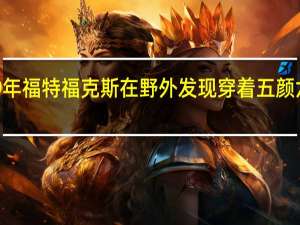 2019年福特福克斯在野外发现穿着五颜六色的伪装