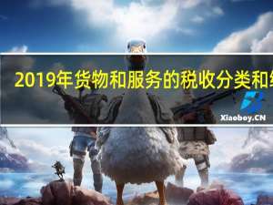 2019年货物和服务的税收分类和编码