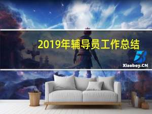 2019年辅导员工作总结