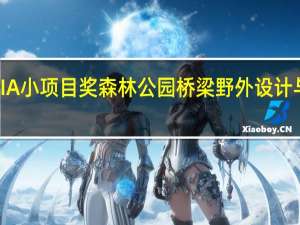 2019年AIA小项目奖森林公园桥梁野外设计与施工体系结构