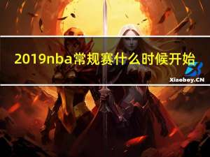 2019nba常规赛什么时候开始（2019nba什么时候开赛）