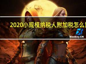 2020小规模纳税人附加税怎么算（2020小规模纳税人附加税怎么交）