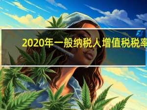 2020年一般纳税人增值税税率
