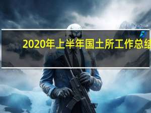 2020年上半年国土所工作总结