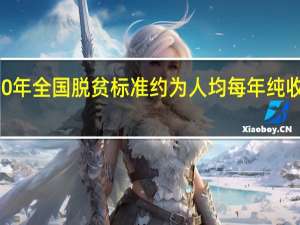 2020年全国脱贫标准约为人均每年纯收入多少元